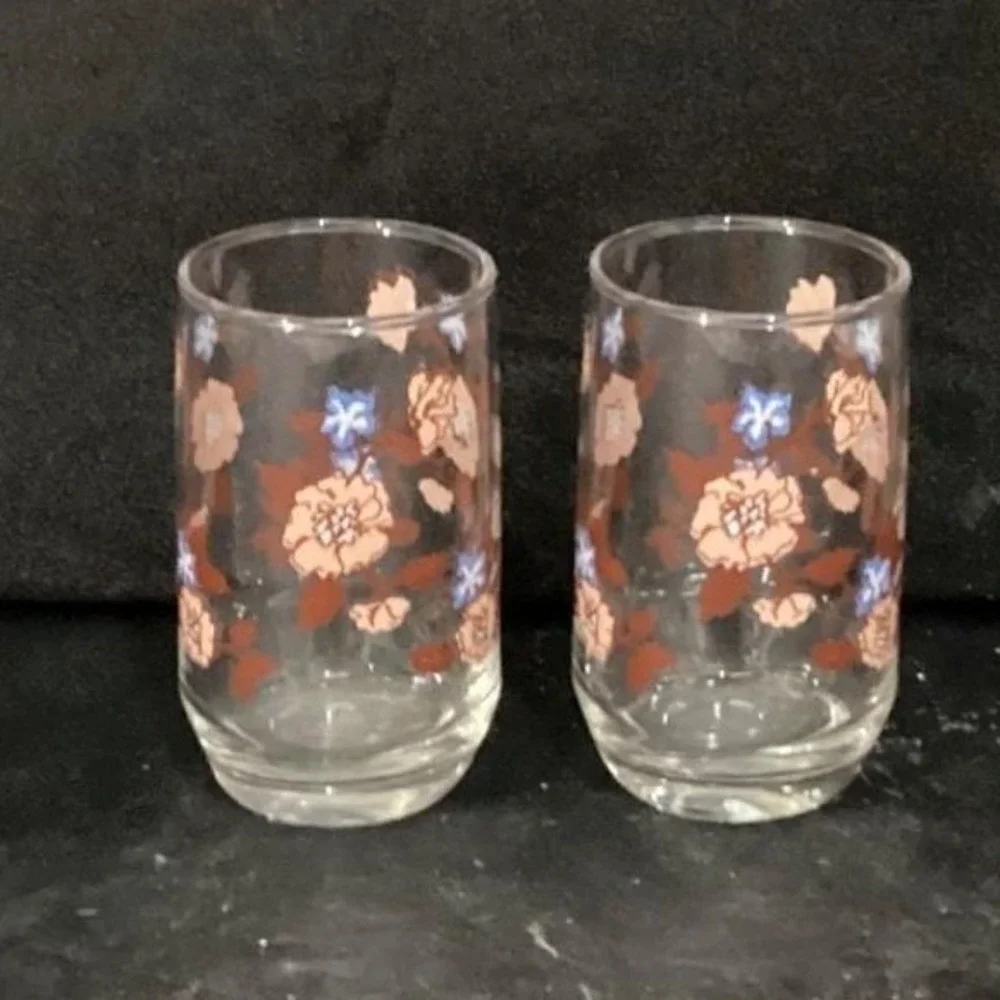 Libbey Floral Juice Glasses, Set of 2,‎ Vintage Orange Flowers Design Drinkware